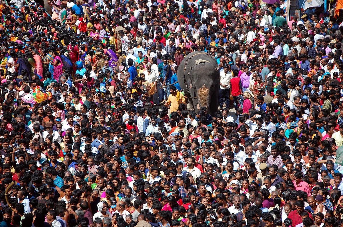 மக்கள் கூட்டத்தோடு வலம் வரும் யானை!
