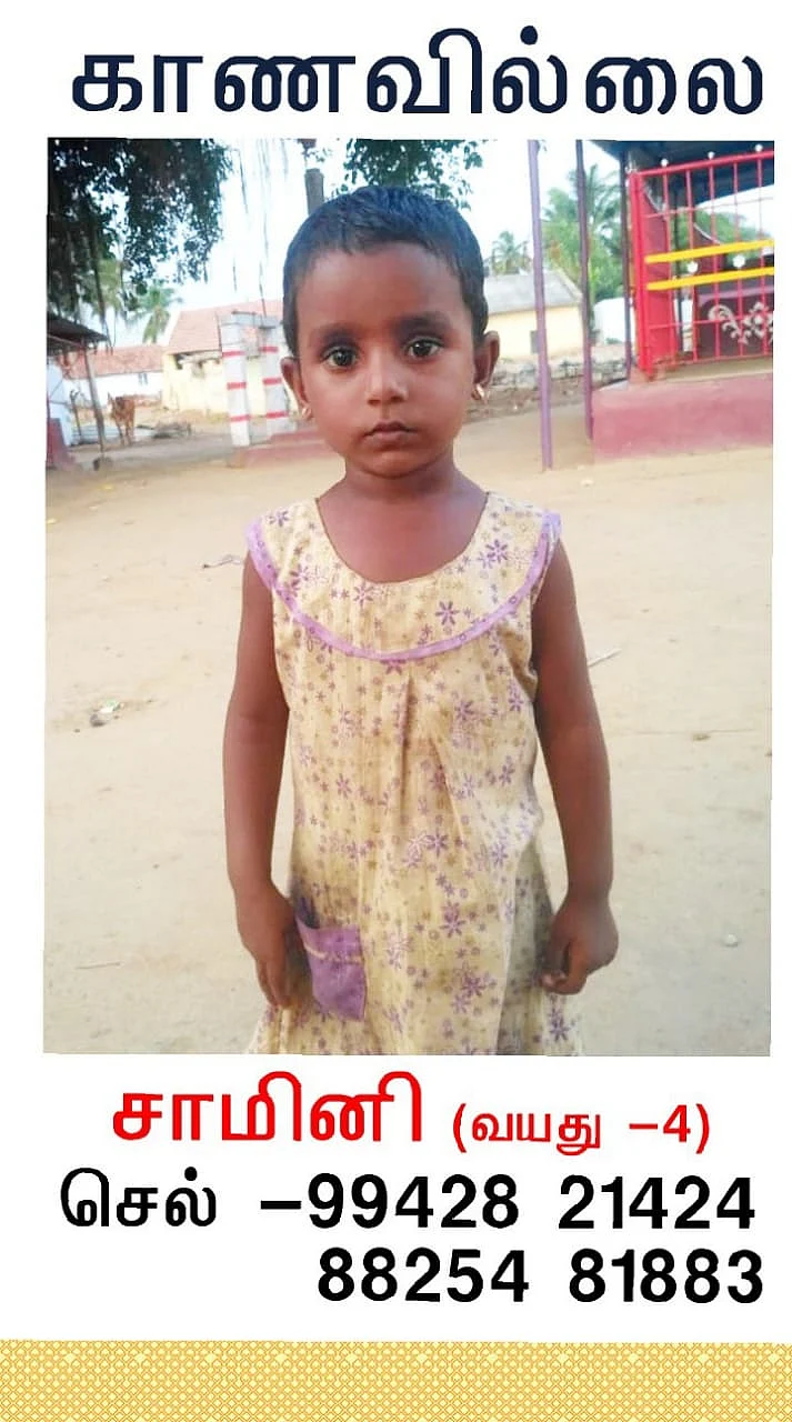 சாமினி