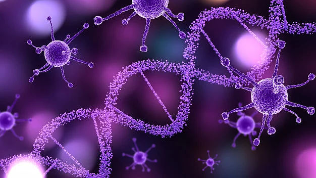 Virus