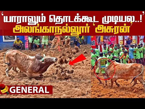 Highlights of this year's Alanganallur Jallikattu!