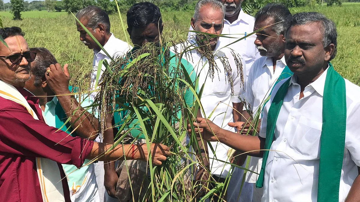 விதைகள்