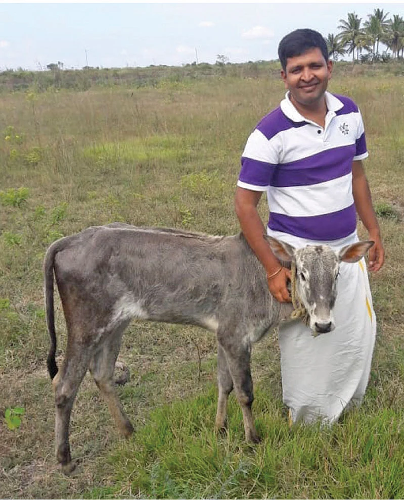 கன்றுக்குட்டியுடன் ஜெயபிரகாஷ்