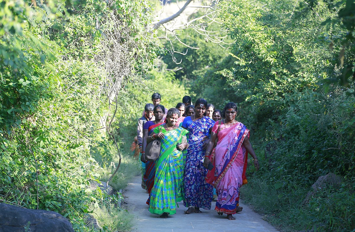 தாணிப்பாறை