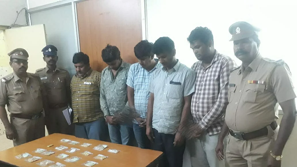 ஜிப் திருடர்கள்