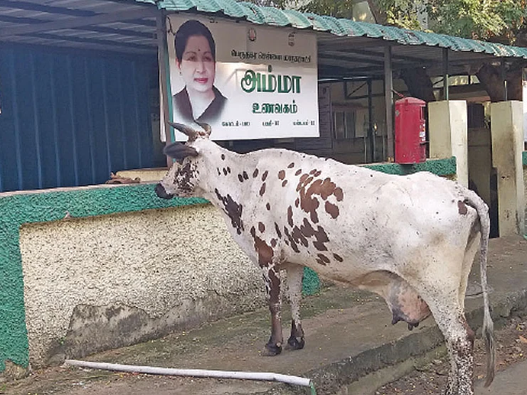 கண்டுகொள்ளப்படாத அம்மா உணவகங்கள்... அ.தி.மு.க அரசுக்கு அக்கறையில்லையா?