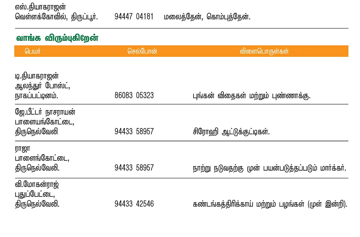 பசுமை சந்தை