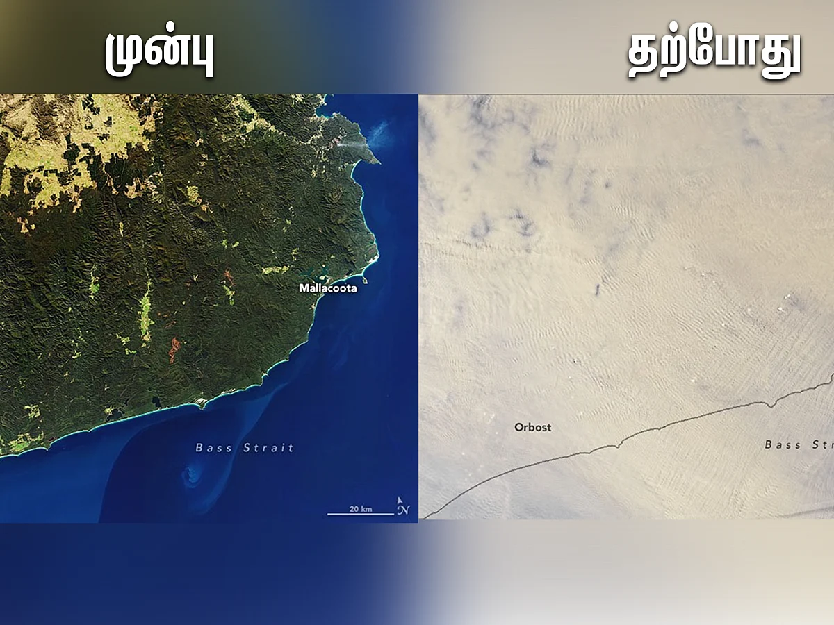 `இது வரலாறு காணாத பேரழிவு!' - கலங்கவைக்கும் ஆஸ்திரேலியக் காட்டுத்தீயின் சாட்டிலைட் புகைப்படங்கள்