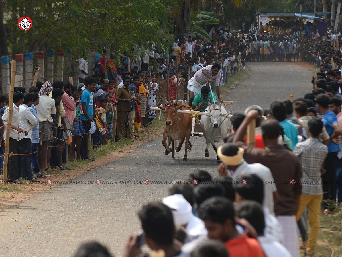 ரேக்ளா பந்தயம்