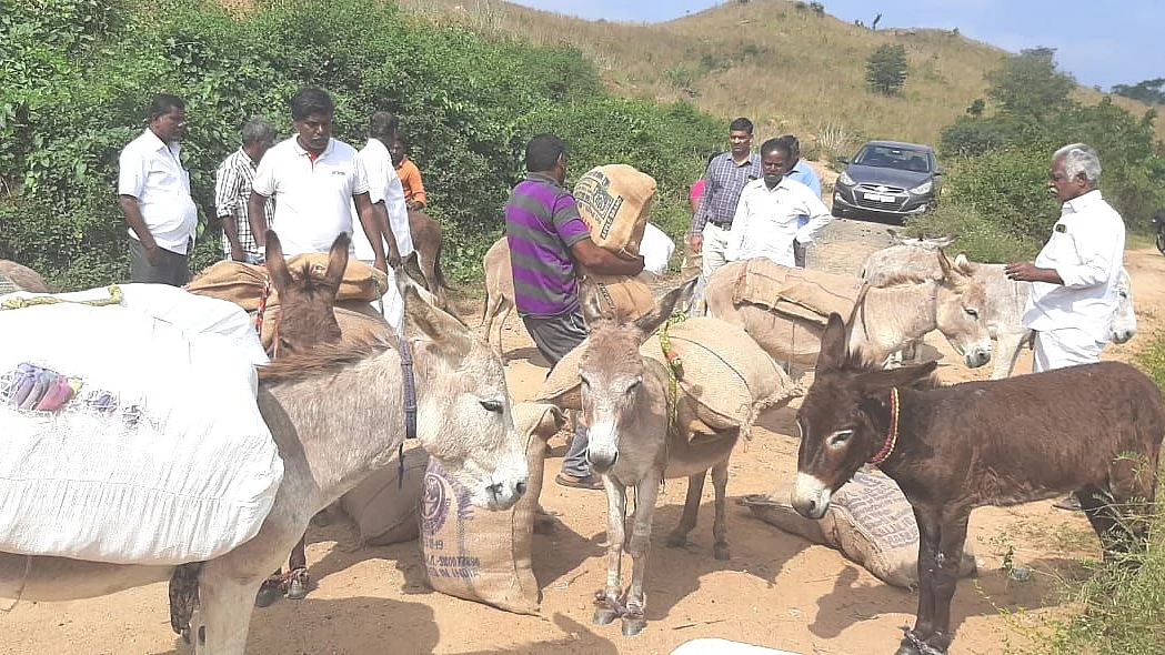 கழுதைகளில் சென்ற பொங்கல் பரிசு