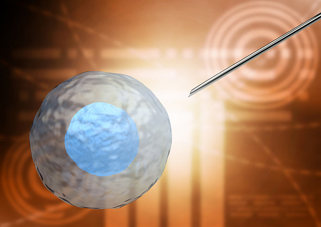 Stem cell Therapy