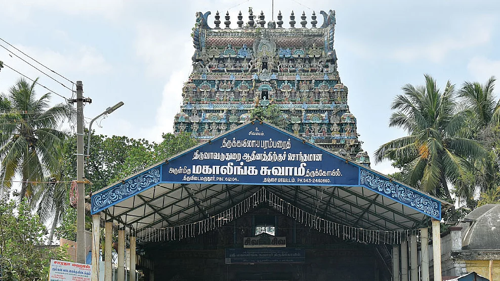 நாரதர் உலா