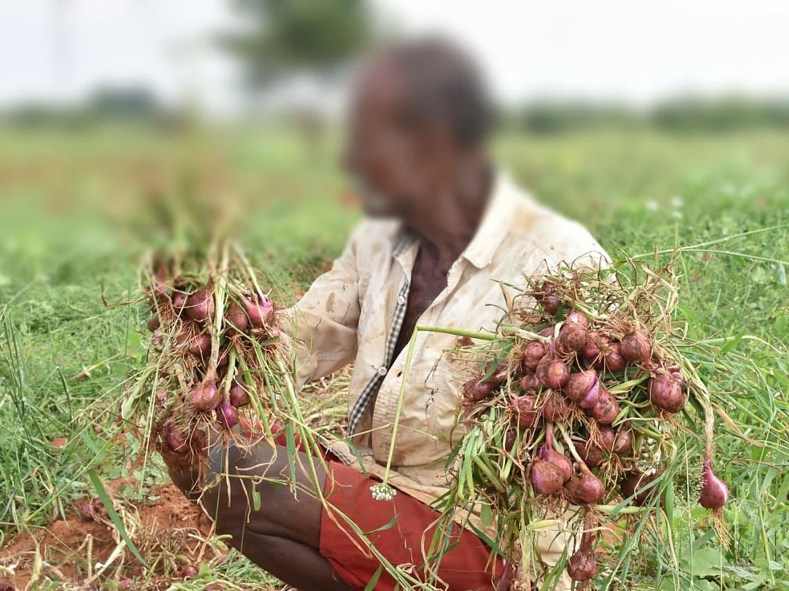 `இயற்கை விவசாயம்; 20% குறைவான விலை!’- சின்ன வெங்காய சாகுபடியில் அசத்திய திருச்சி சிறைவாசிகள்