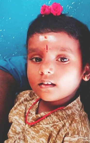 சாமினி