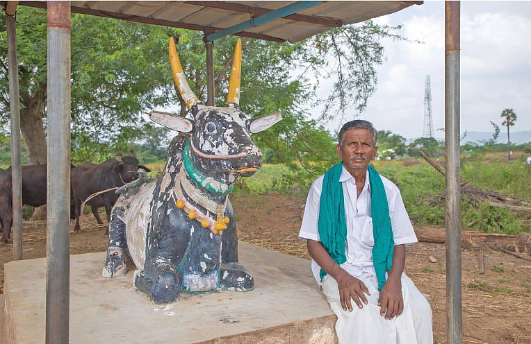 காளைச் சிலைக்கு அருகே சின்னா கவுண்டர்