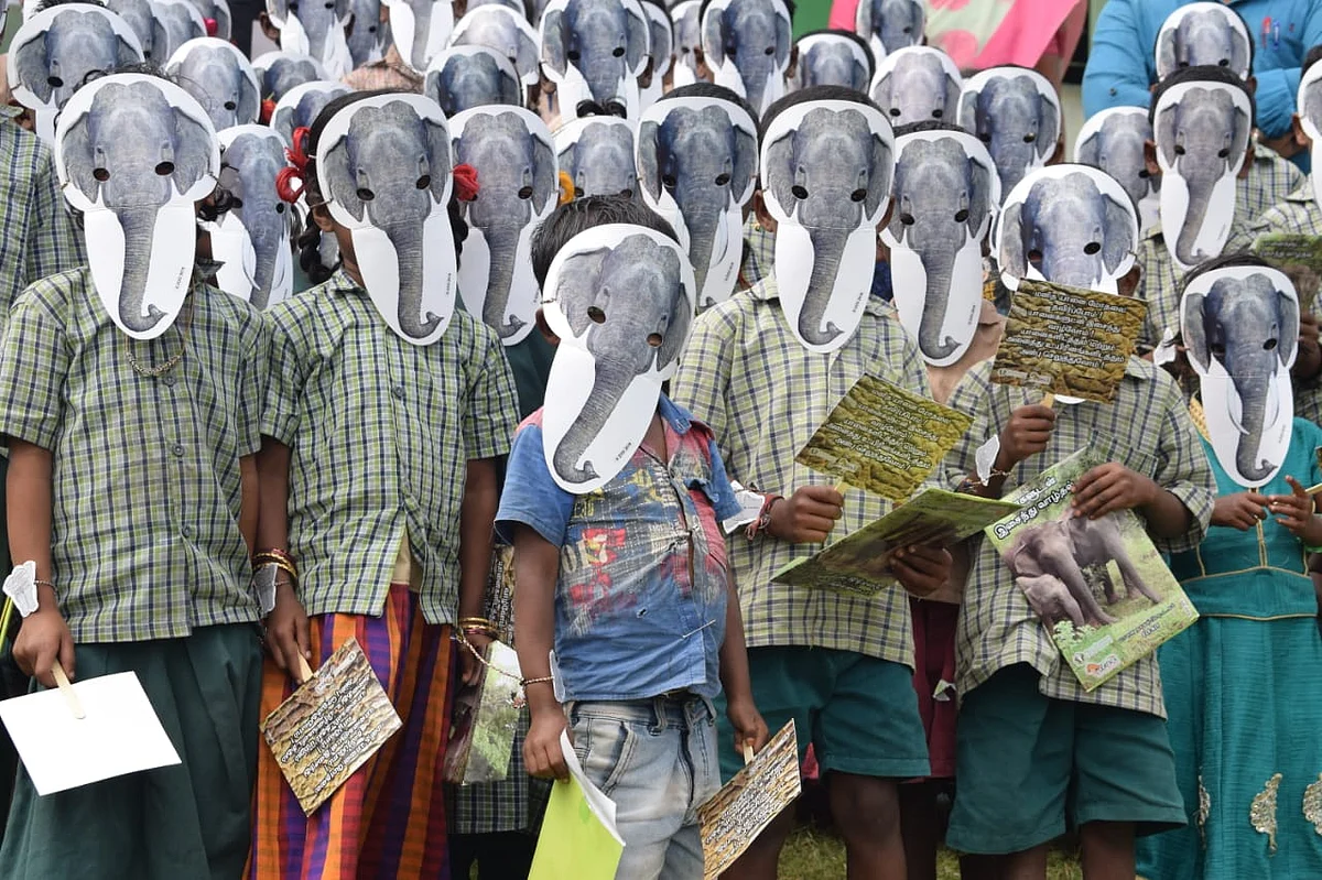 விழிப்புணர்வு நிகழ்ச்சி