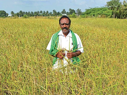 7 ஏக்கர், 6 லட்சம் ரூபாய்! - பாடில்லாத வருமானம் கொடுக்கும் தென்னை!
