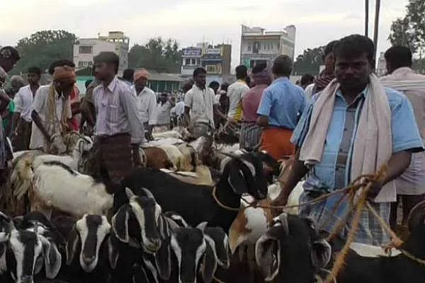 ஆட்டுச்சந்தை