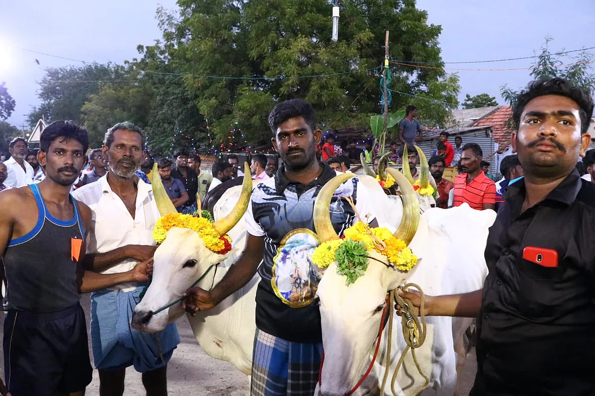 வெற்றி பெற்ற காளைகள்