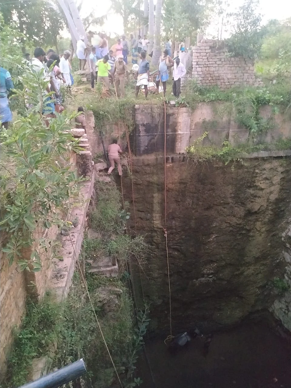 காளை மீட்கும் பணி