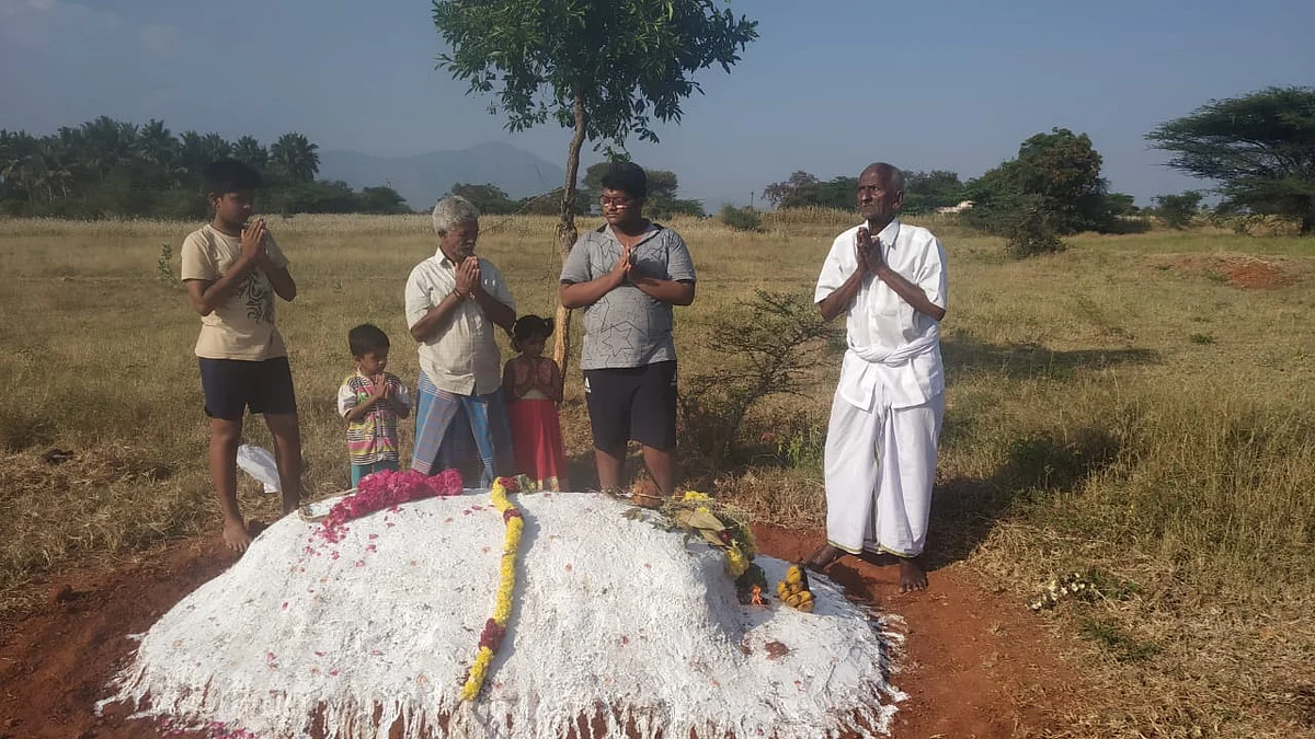மாயாவு காளை
