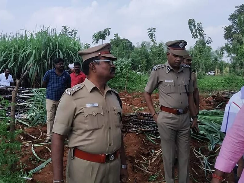 `உங்க ஊருக்கும் வருகிறது திருச்சி சிறைச்சாலை செங்கரும்பு!’- அரசின் முடிவால் சிறைவாசிகள் உற்சாகம்