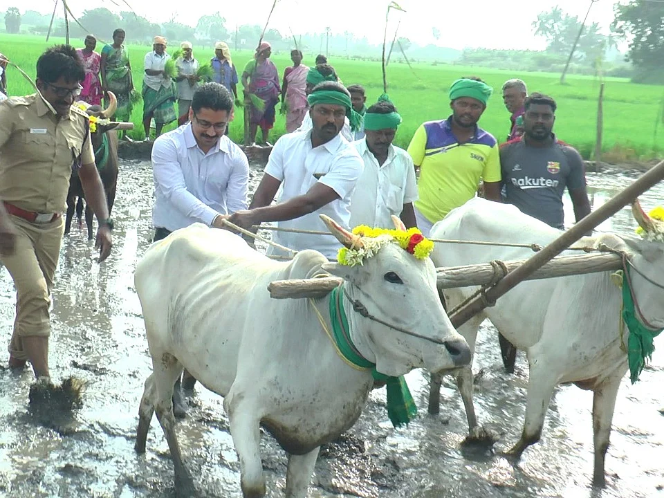 `விவசாயிகள் திருவிழா இது!' தூத்துக்குடி சமத்துவப் பொங்கல் விழாவில் நெகிழ்ந்த பஞ்சாபி சப் கலெக்டர்