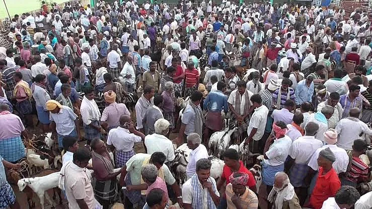 ஆட்டுச்சந்தை