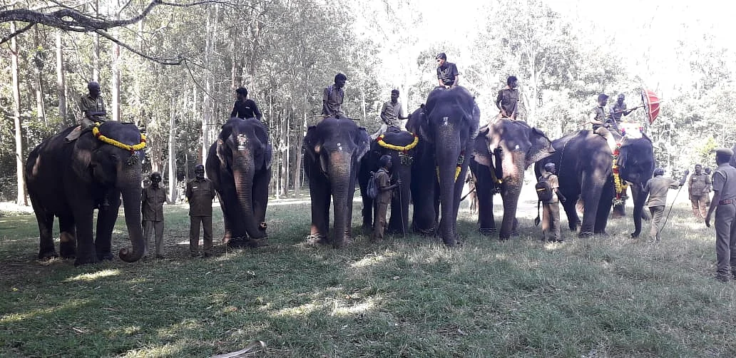 யானைப் பொங்கல்