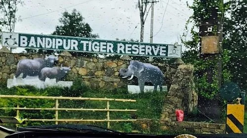 பந்திப்பூர் சரணாலயம்