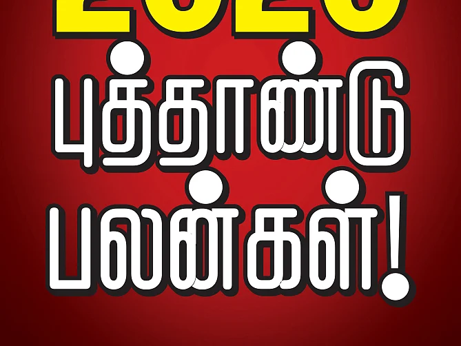 எதிர்காலத்துக்கான வழிகாட்டியாகப் போகும் 2020... மகர ராசியினருக்கான ஆங்கிலப் புத்தாண்டுப் பலன்கள்!