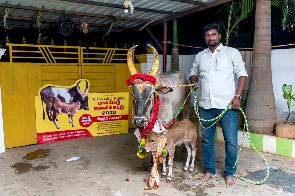 2020 கொடுக்கப்பட்ட பசுவுன் பொன்.குமார்
