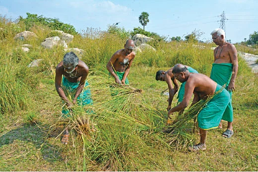 புண்ணிய புருஷர்கள்