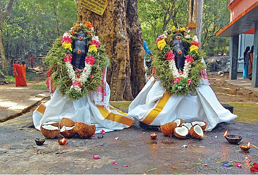 அறுகு வழிபாடு