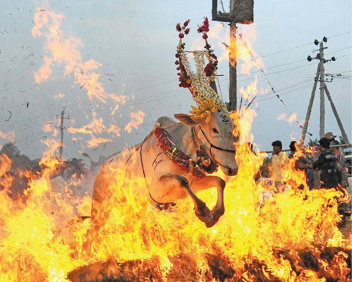 நெருப்புத் தாண்டும் நிகழ்வில்...