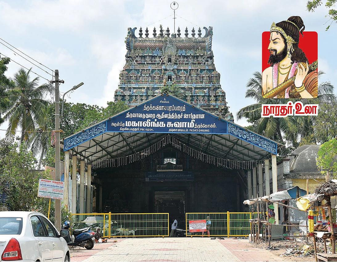 நாரதர் உலா