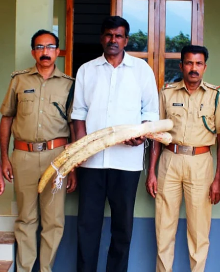 தந்தம்
