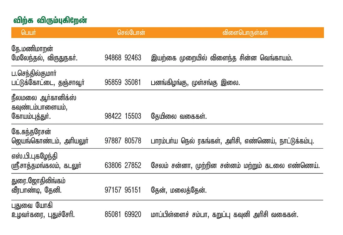 பசுமை சந்தை