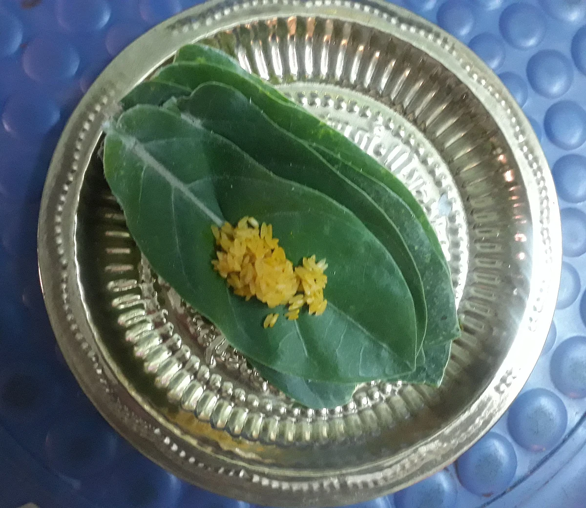 எருக்க இலை