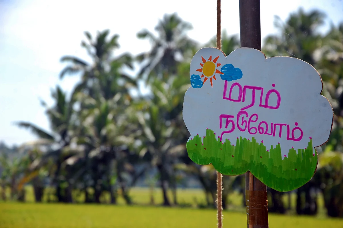 பொதுமக்களுக்கு விழிப்புணர்வு ஏற்படுத்த வைக்கப்பட்டிருக்கும் பதாகைகள்.