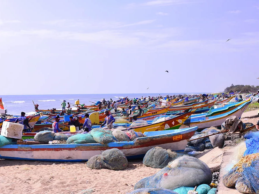 கப்பலைப் போன்று கட்டுமரத்தையும் பதிவு செய்யணும்! -தேசிய மீன்பிடி வரைவு மசோதாவால் கலங்கும் மீனவர்கள்