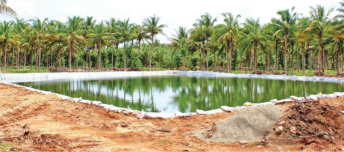 10,000 பண்ணைக் குட்டைகளை உருவாக்கியுள்ளோம்!