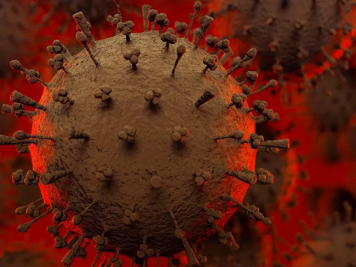Virus