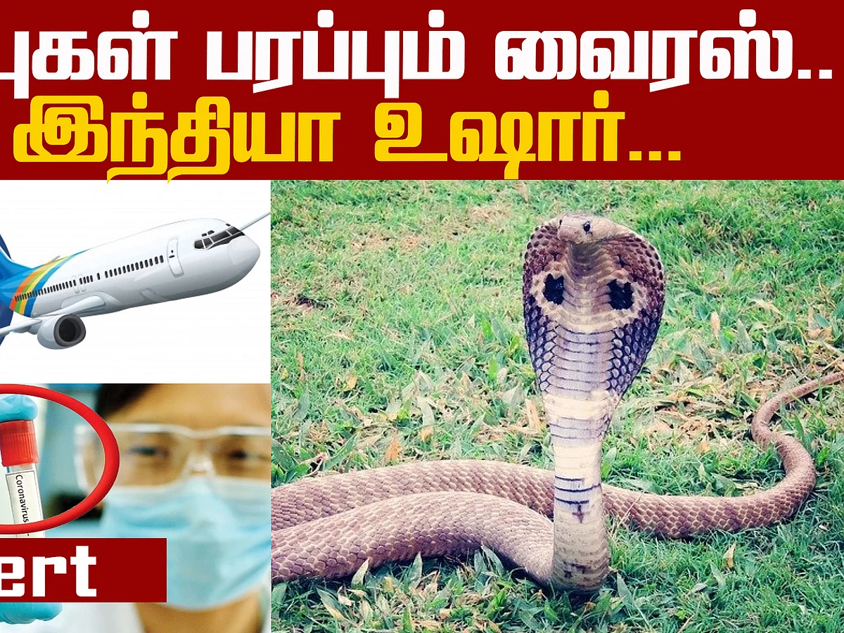 Updates about Coronavirus - Alert