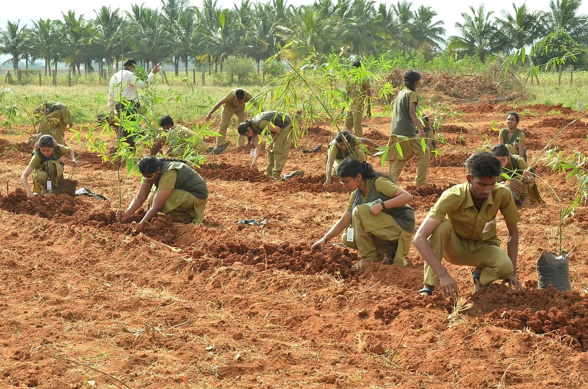 மூங்கில் கன்றுகள் நடும் தோட்டக்கலைக் கல்லூரி மாணவ மாணவிகள்.