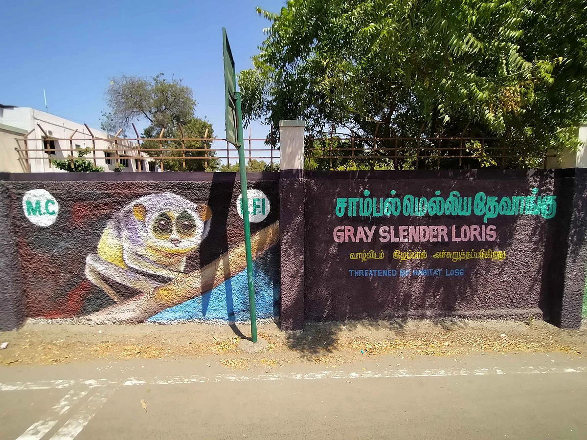 மதுரை அரசு கட்டிடங்களை அலங்கரிக்கும் சுவர் ஓவியங்கள்!