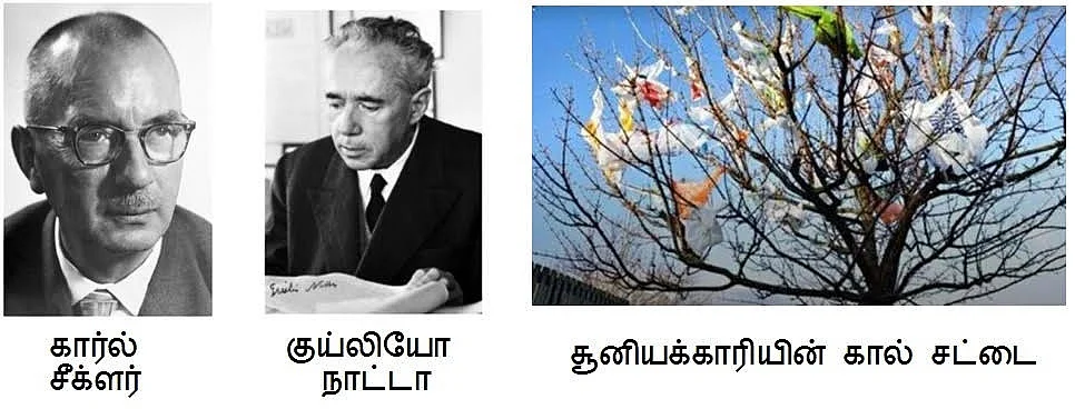 கார்ல் சீக்ளர் - குய்லியோ நாட்டா