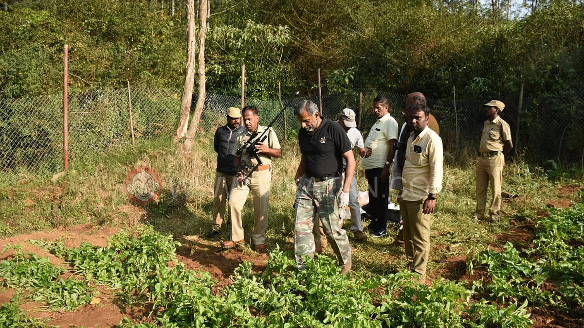 tiger rescue opration