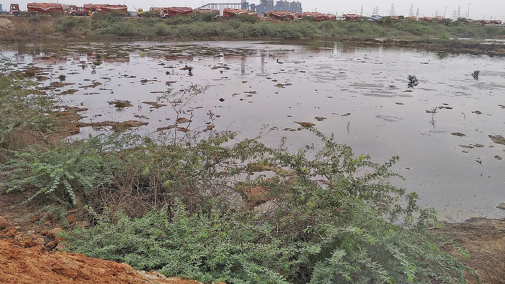 சாம்பல் குட்டை எனச் சொல்லப்பட்ட சதுப்புநிலப் பகுதி