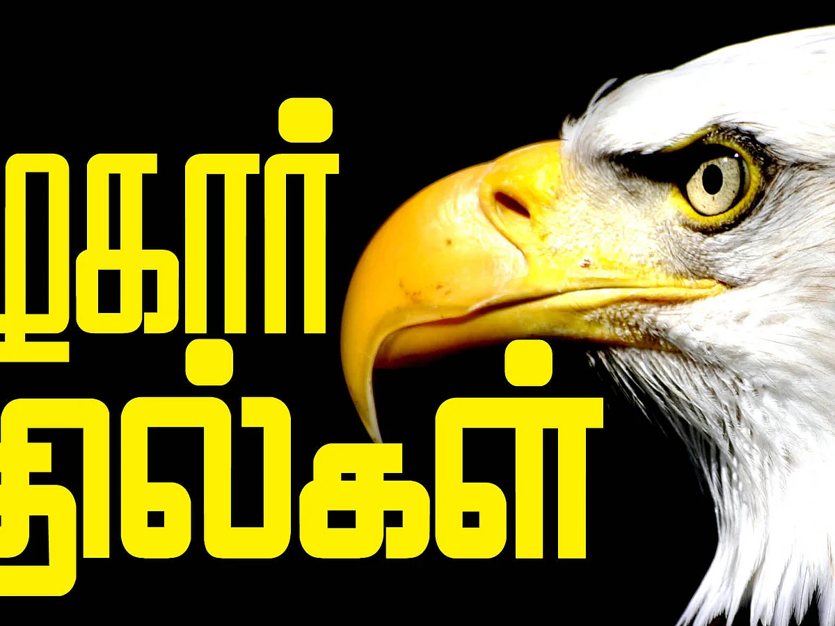 கழுகார் பதில்கள்