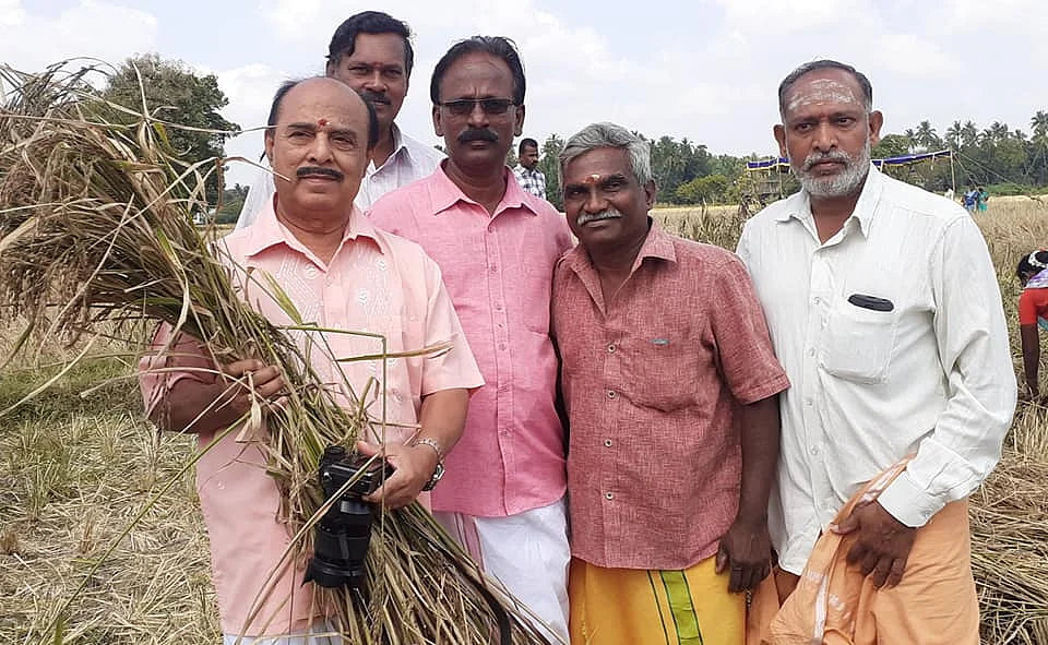 அறுவடை திருவிழா